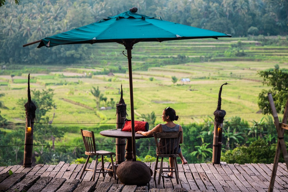 Bambu Indah
