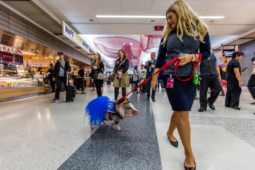 San Francisco International Airport
