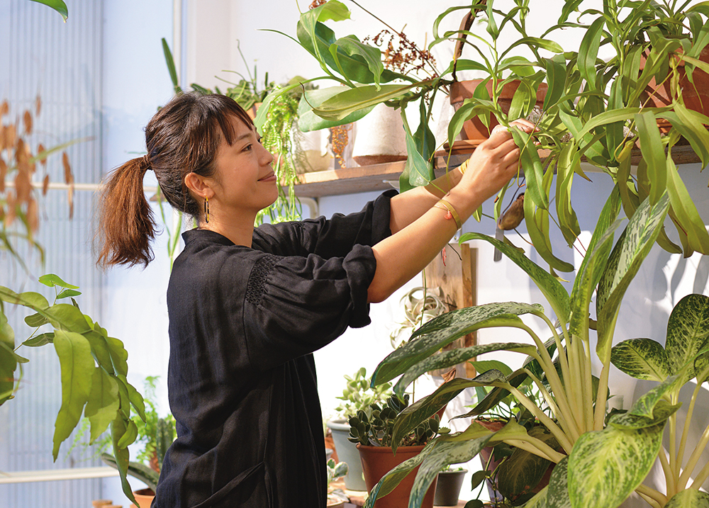 嶺貴子,Nettle Plants