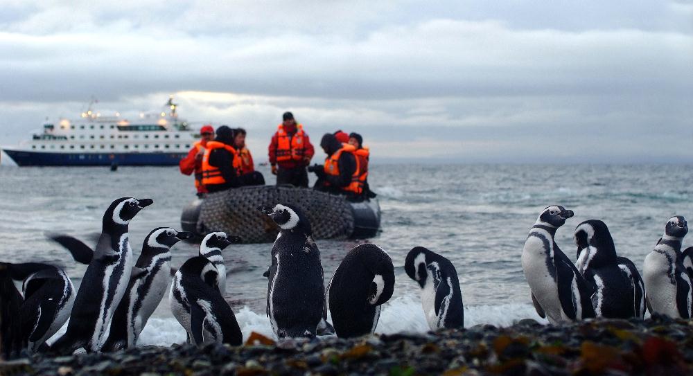 explora Patagonia‧Cruceros Australis