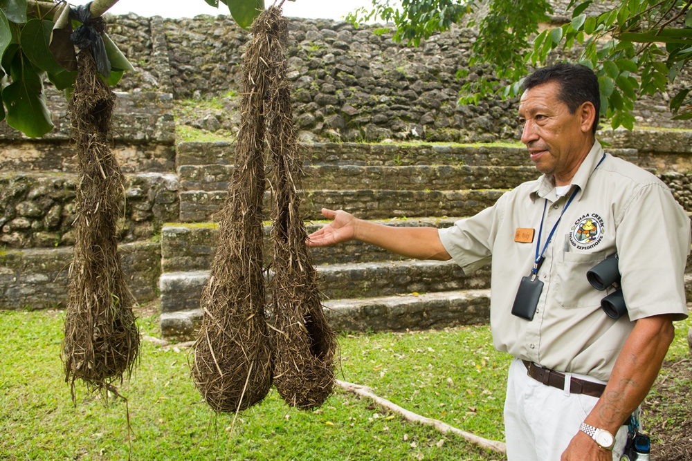 Caracol