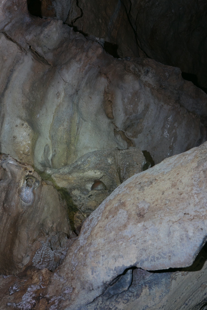 Barton Creek