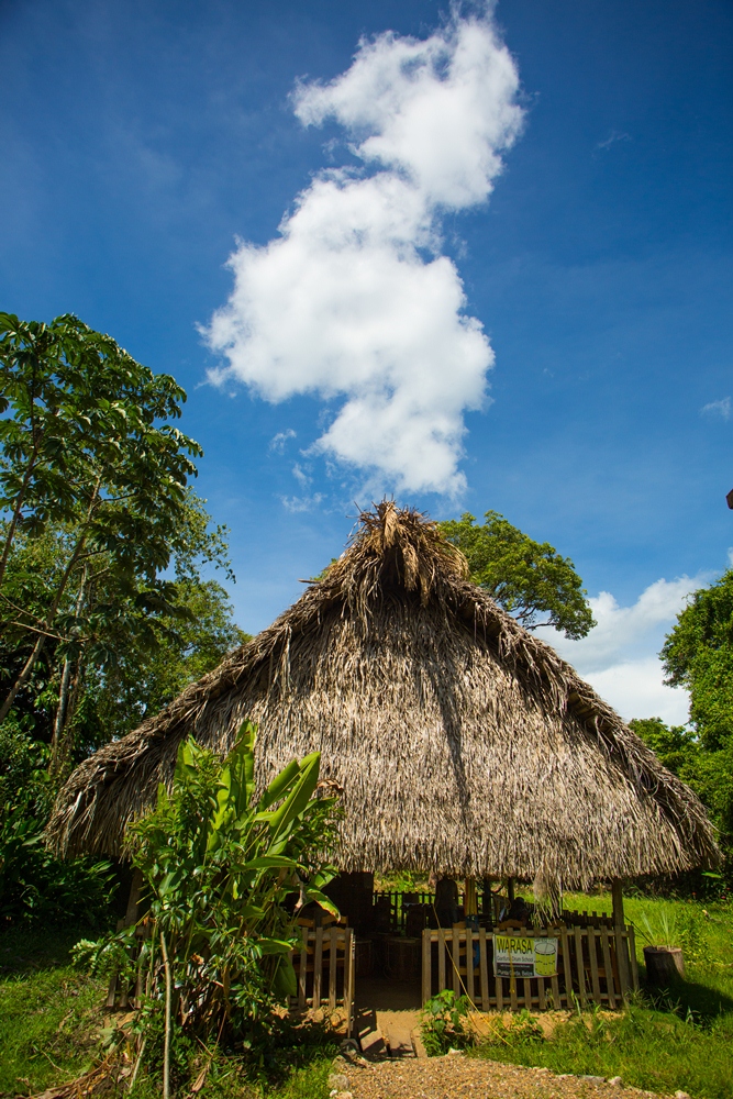 Warasa Garifuna Drum School