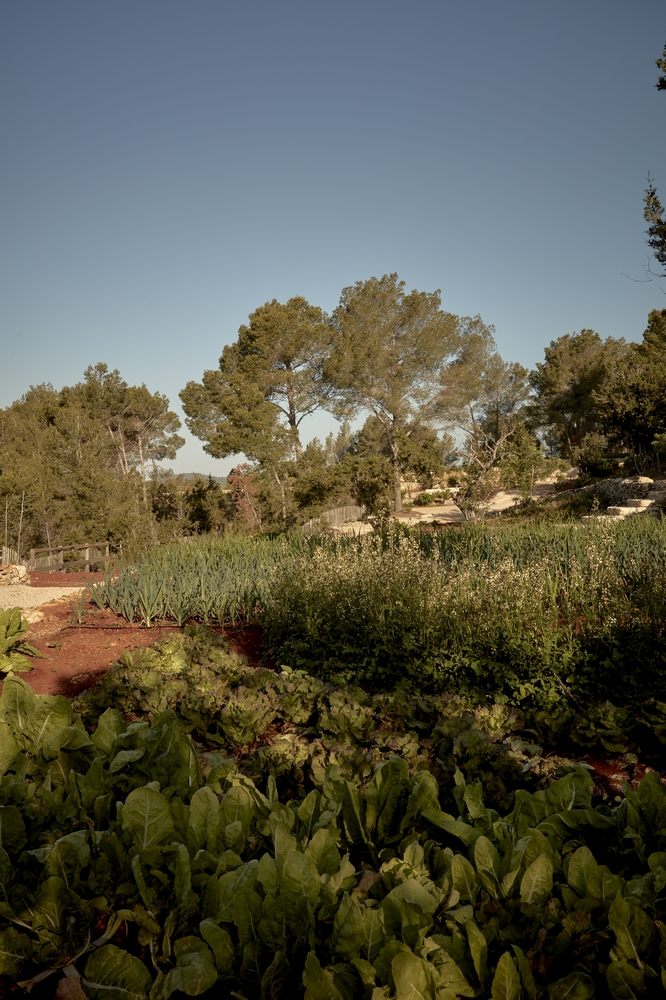 La Granja Ibiza