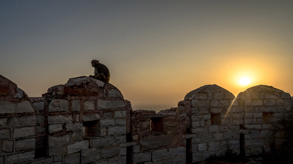 Alila Fort Bishangarh