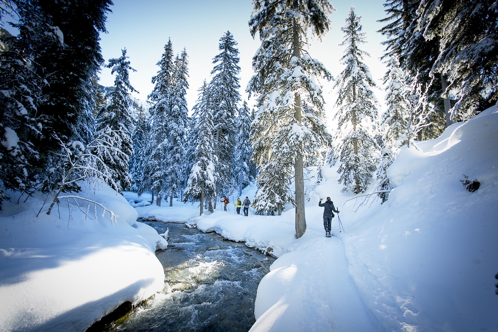 Courchevel Ski Resort