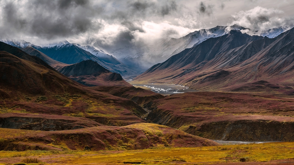 Luxury Alaska Holidays - Natural World Safaris