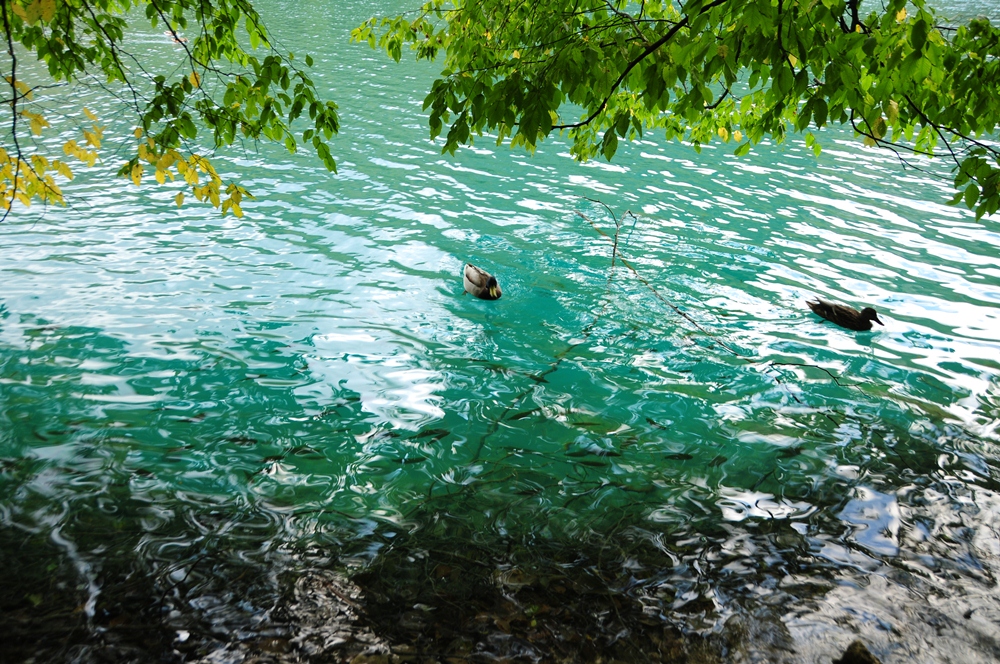 普列提維切湖國家公園