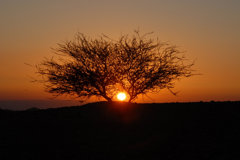 Feynan Ecolodge