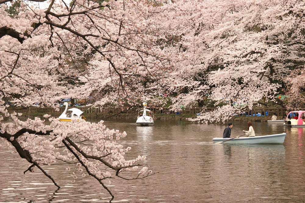 井之頭恩賜公園