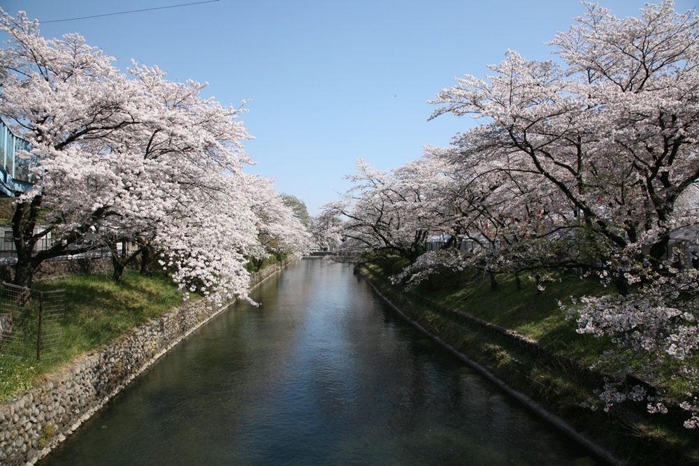 玉川上水