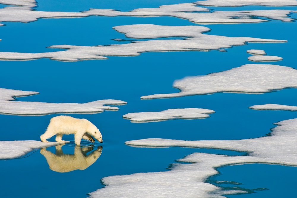Lindblad Expeditions
