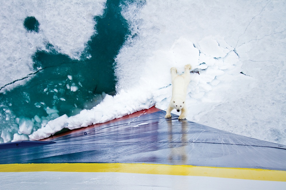 Lindblad Expeditions