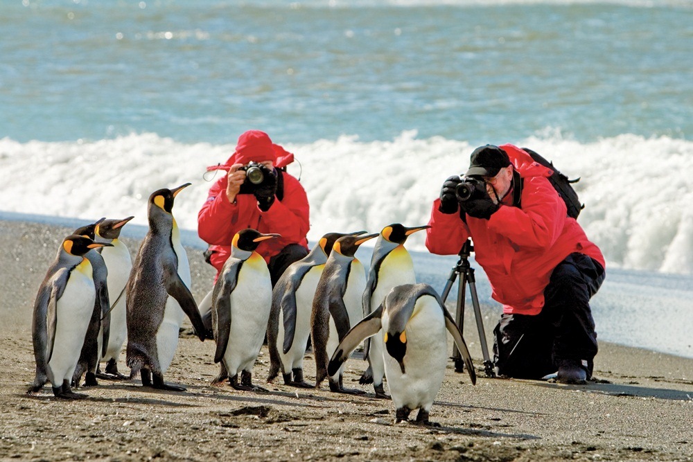 Lindblad Expeditions