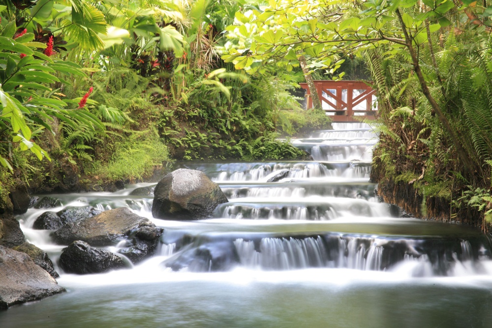 Tabacon Grand Spa Thermal Resort