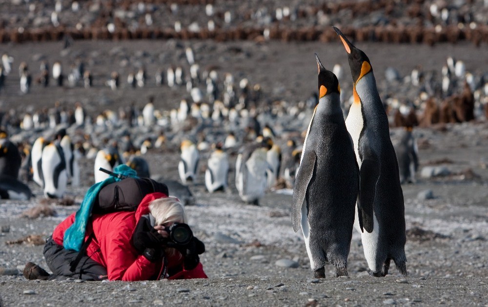 Oceanwide Expeditions