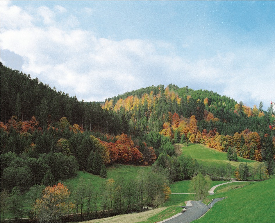 Hotel Traube Tonbach