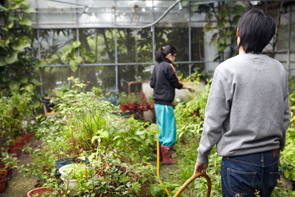 野蔓園