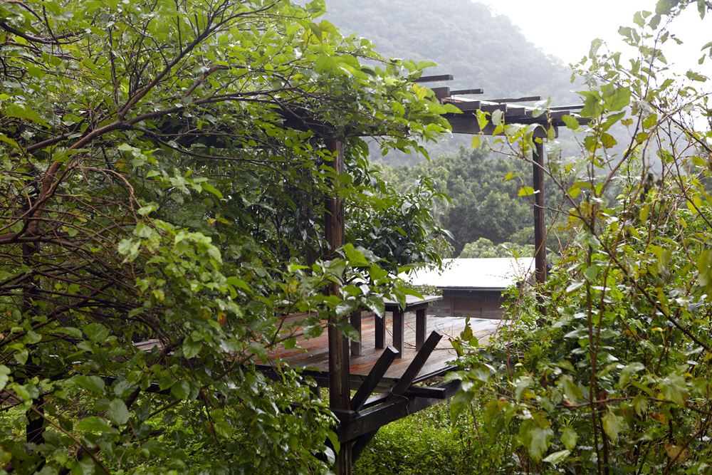 野蔓園