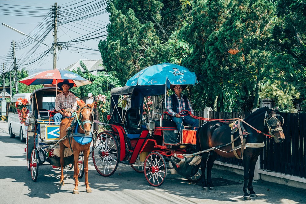 南邦府馬車遊城
