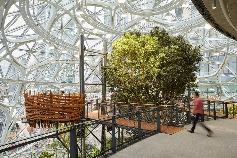 Amazon Seattle The Spheres
