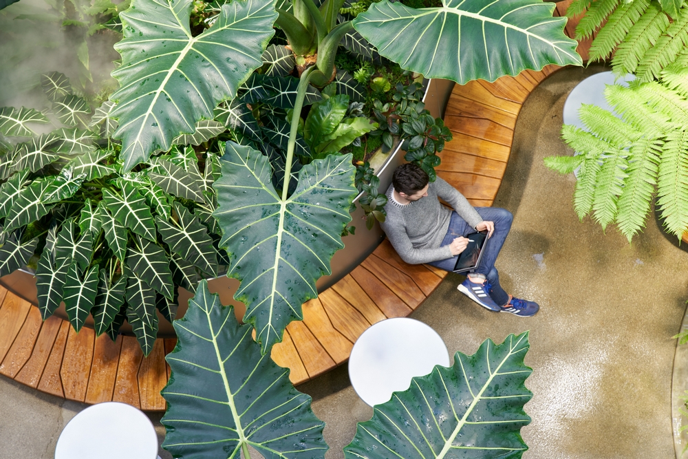 Amazon Seattle The Spheres