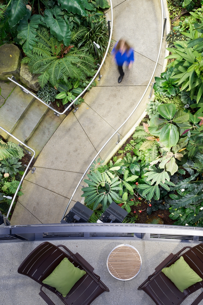 Amazon Seattle The Spheres