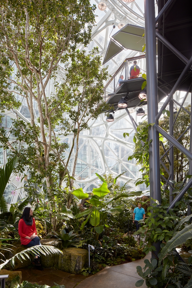 Amazon Seattle The Spheres