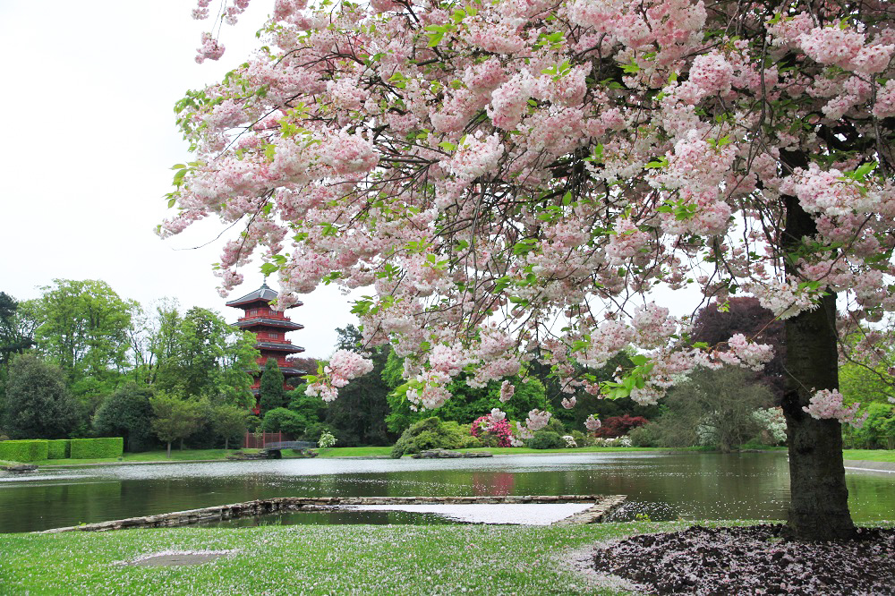 比利時Royal Greenhouses of Laeken