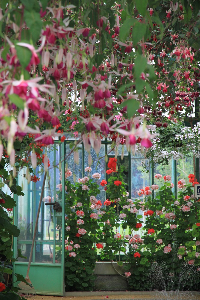比利時Royal Greenhouses of Laeken