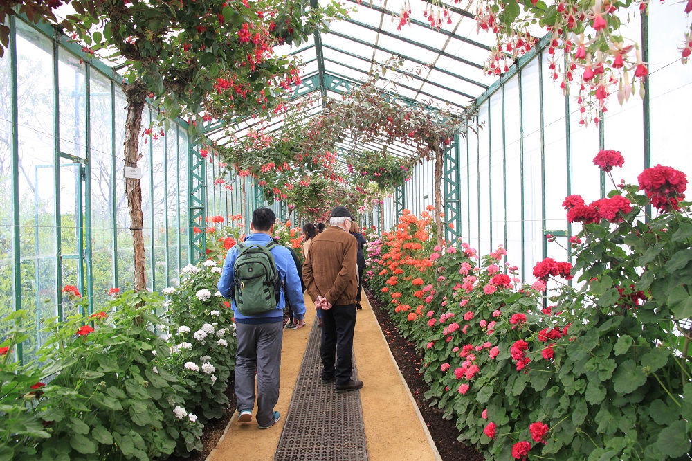 比利時Royal Greenhouses of Laeken