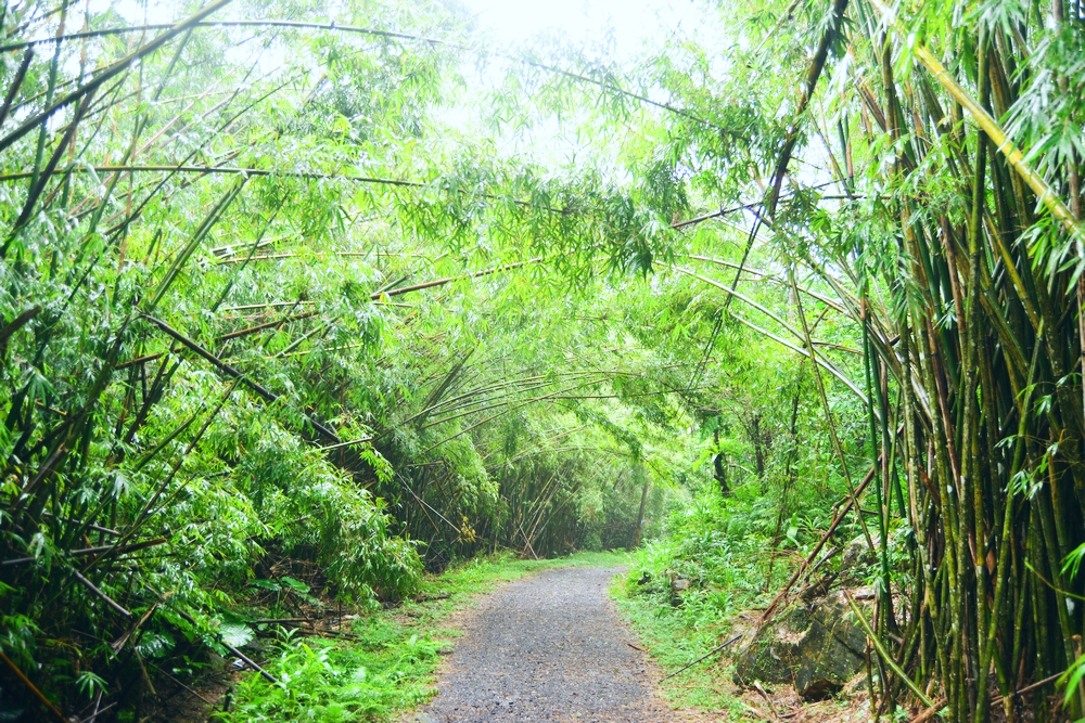 跑馬古道