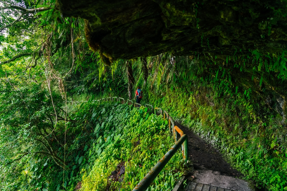 瓦拉米步道