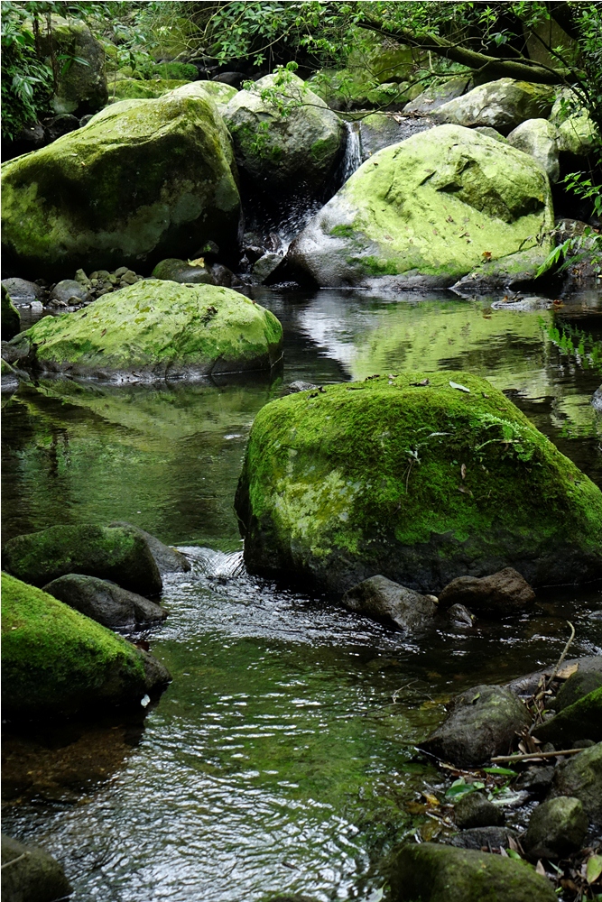 鹿堀坪古道