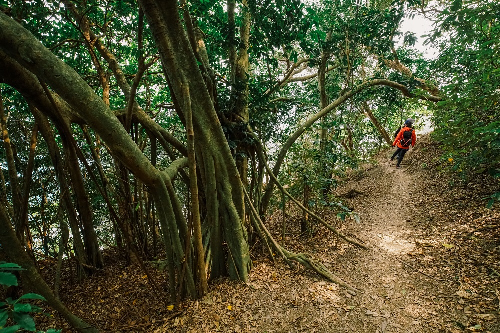 阿朗壹古道