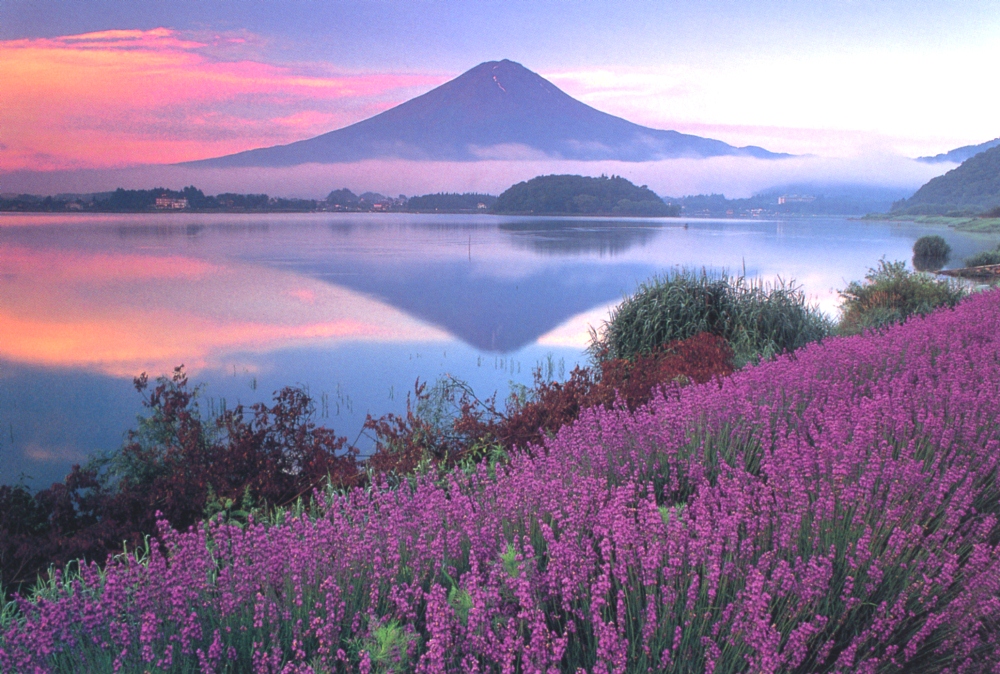 富士山