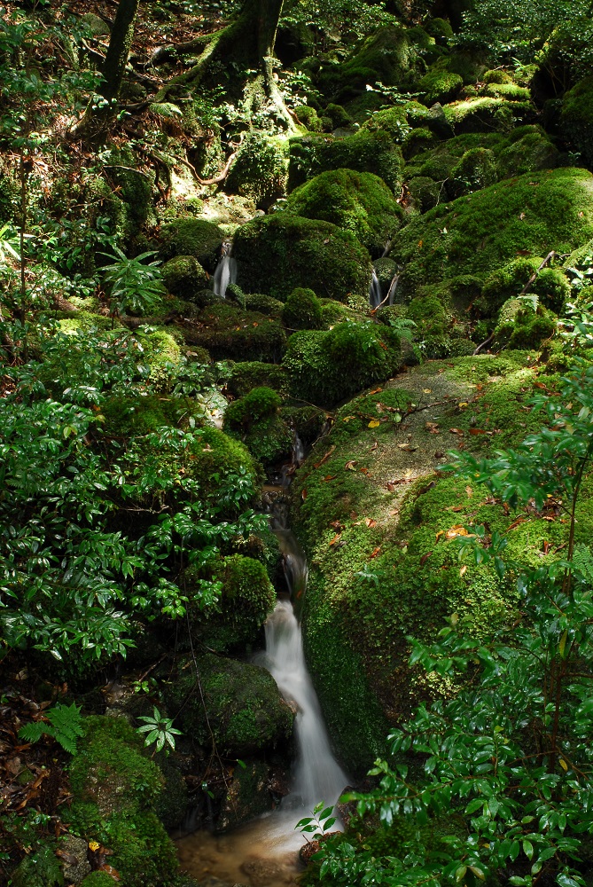 屋久島