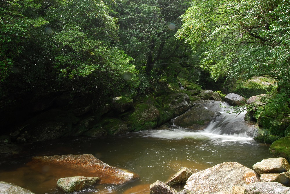 屋久島