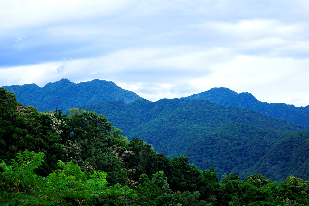 從東眼山望向南、北插天山,層疊蓊鬱的山巒