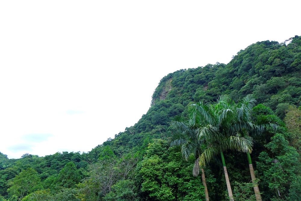北橫風景