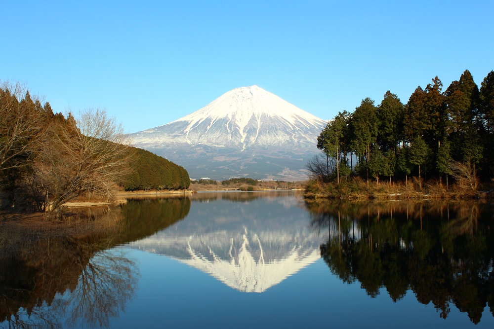 富士山