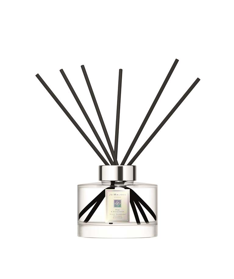 Jo Malone London/松木與桉樹系列/聖誕節