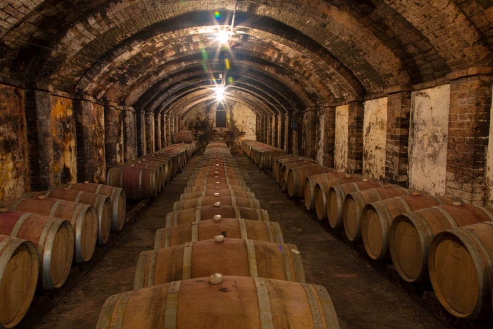 托斯卡尼莊園/托斯卡尼/義大利/超級托斯卡尼/ Italy/super tuscan/florenc