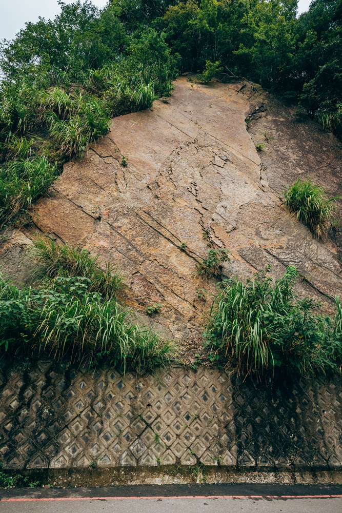 桃園興溪道路