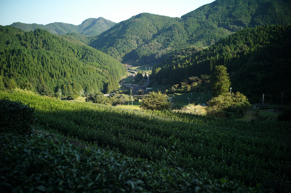 日本/東京/幻幻庵/EN TEA/日本茶/茶館
