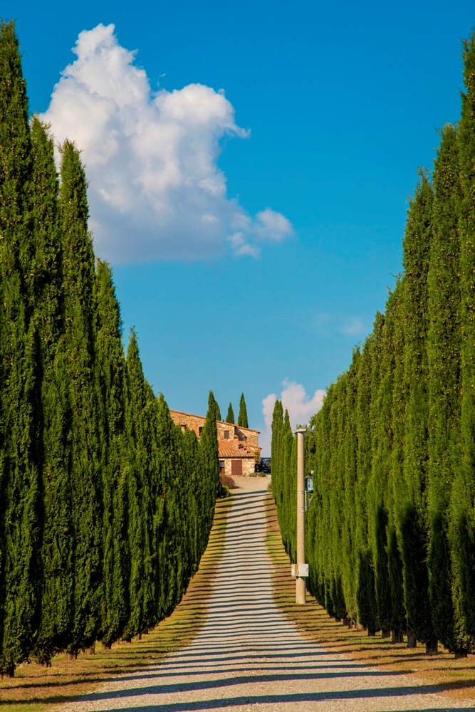 瓦達歐西亞 /義大利/西恩納/Italy