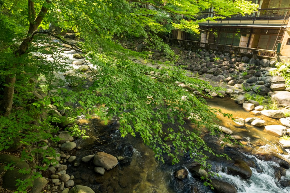 源賴將軍/柳生的庄/修善寺/溫泉/伊豆/日本