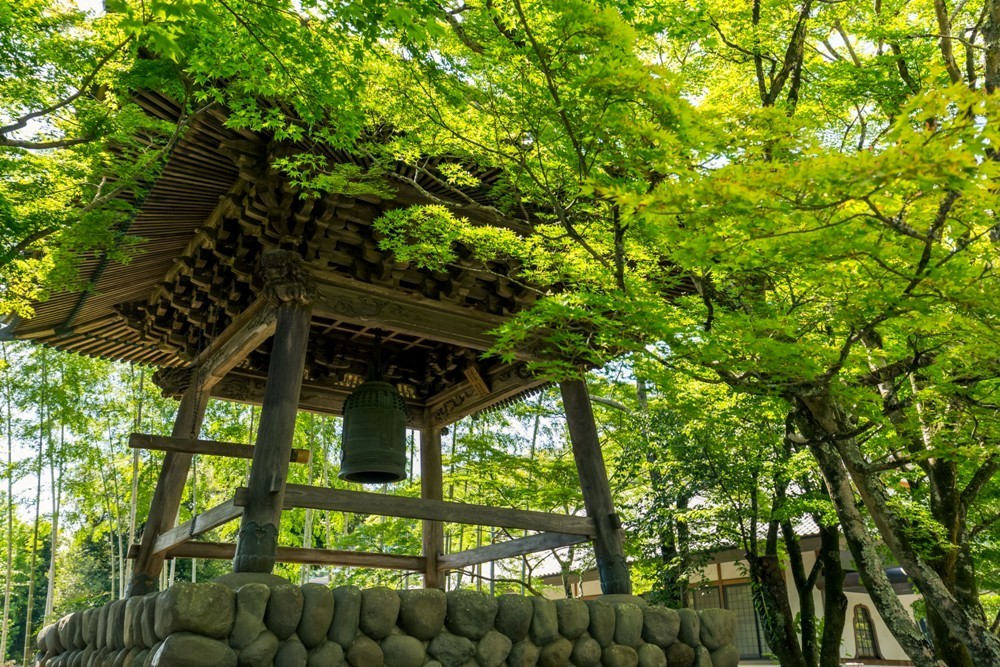 源賴將軍/柳生的庄/修善寺/溫泉/伊豆/日本