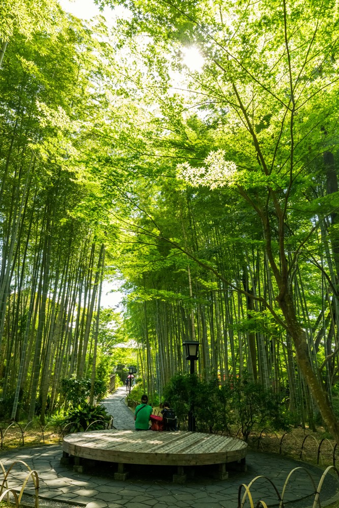 源賴將軍/柳生的庄/修善寺/溫泉/伊豆/日本