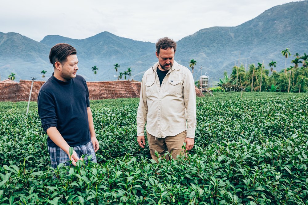 Andy Kincart/一口茶/Eco-Tea/台灣茶/南投/台灣